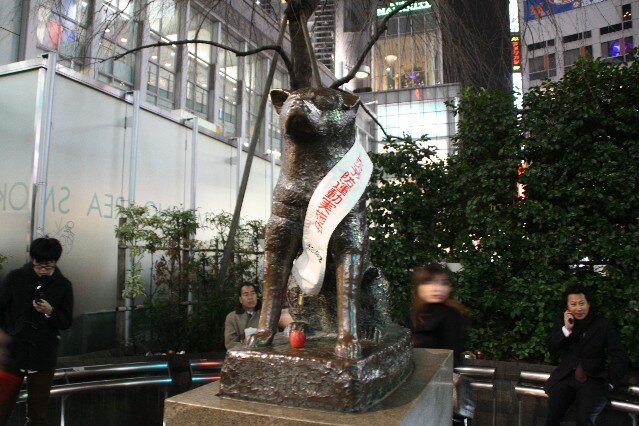 Hachiko statue Shibuya