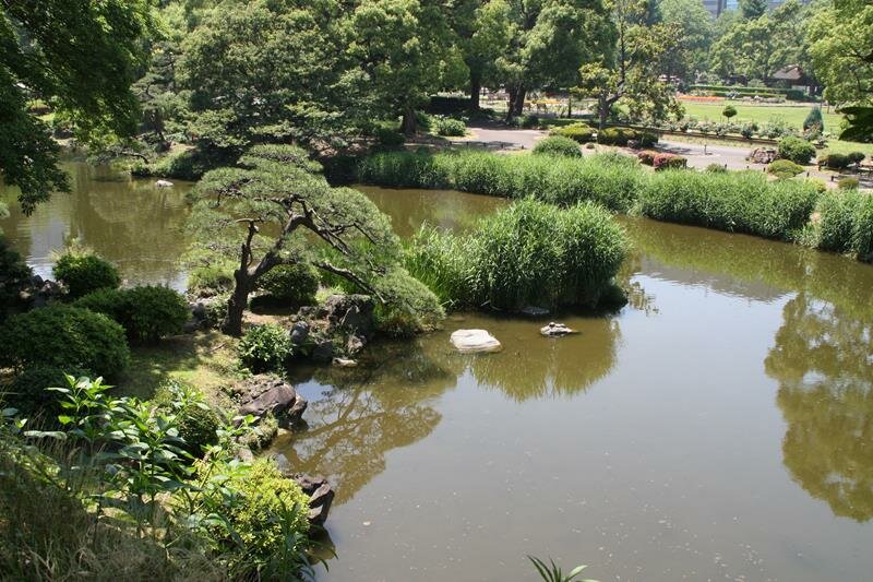 Pond at Hibiya Park Tokyo