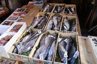 Tsukiji Fish Markets
