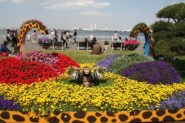 Flower display at Yamashita Park Yokohama