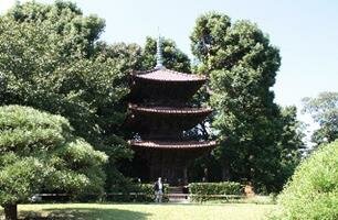 Chinzan-So Gardens Tokyo Travel Guide