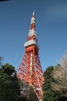 Tokyo Tower Tokyo Travel Guide