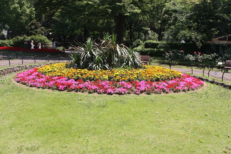 Flower display Hibiya Park Tokyo