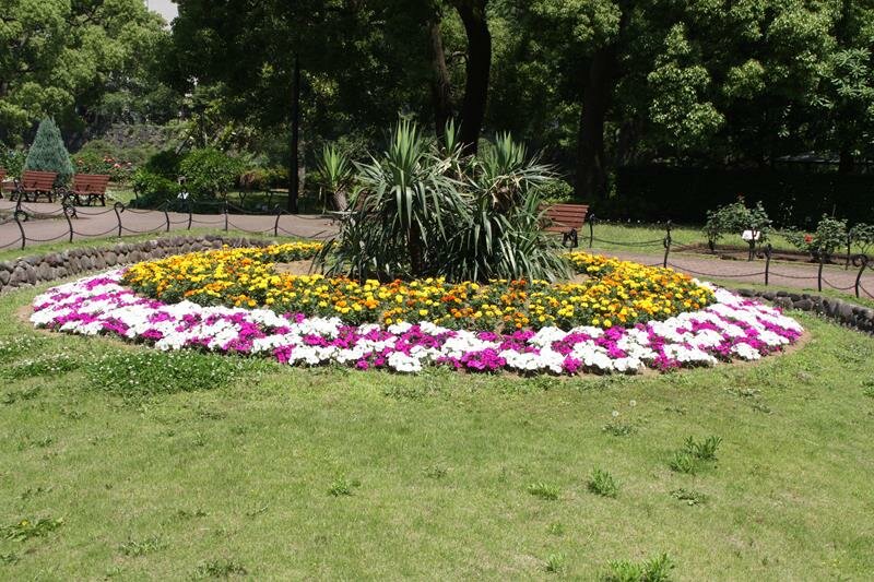 Beautiful flower display at Hibiya Park Tokyo