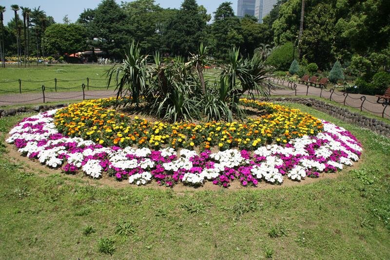 Flowers at Hibiya Park Tokyo